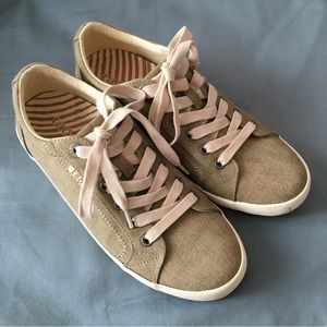 Olive Green Canvas Sneaker Casual